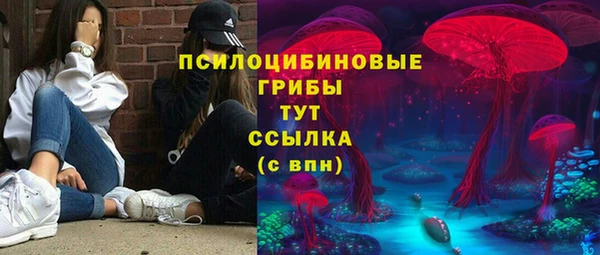 прущий лед Алексин