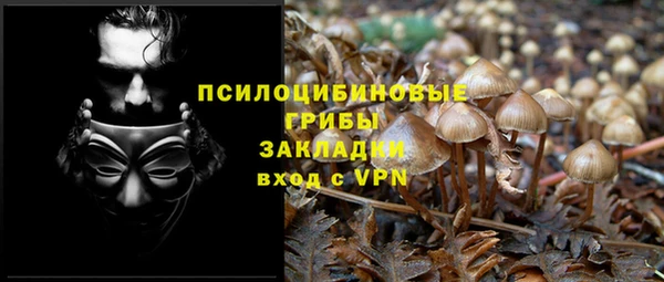метадон Алексеевка