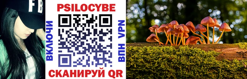 Псилоцибиновые грибы прущие грибы  хочу наркоту  Рыбное 