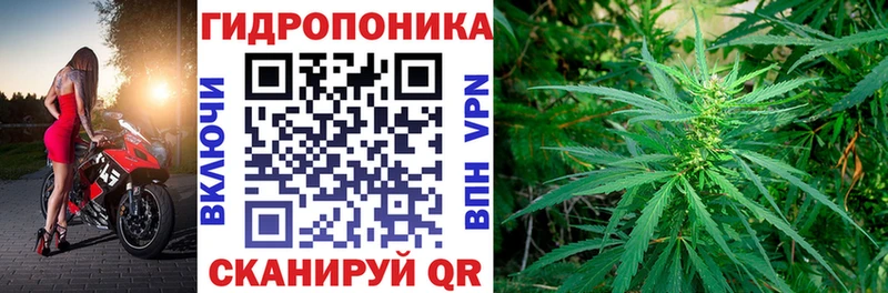 Каннабис планчик Рыбное